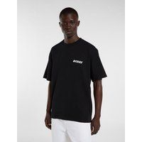 Dickies DRY RIDGE TEE T-shirt voor Mannen - zwart