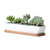 Wens je een mooie dag Set van 2 moderne witte keramische vetplantenpotten/Mini bloemplantenbakken met bamboe schotels long rectangle Kleur: wit