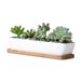 Wens je een mooie dag Set van 2 moderne witte keramische vetplantenpotten/Mini bloemplantenbakken met bamboe schotels long rectangle Kleur: wit