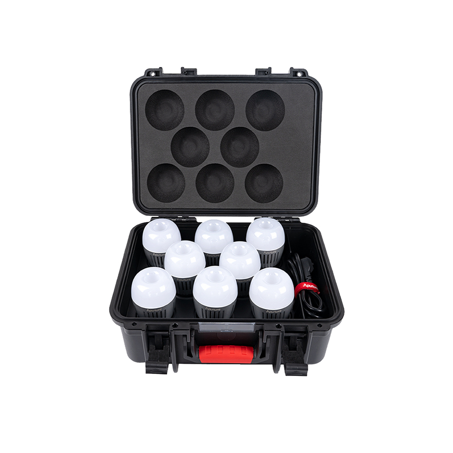 Aputure Accent B7c 8-Light Kit