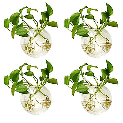 Nuptio 4 Stuks Wandopknoping Glazen Planters 4 Inches Diameter Ronde Glas Plantenpot - Waterplanten Vazen Luchtbloem Vaas Plant Terrariums Plantencontainer