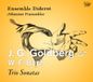 J.G. Audax Records Ensemble Diderot, Johannes Pramsohle - J.G. Goldberg & W.F. Bach: Trio Sonatas (CD)