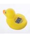 Dreambaby Digital badthermometer - Geel - Eend design