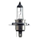 Philips 12569RAC1 mistlamp