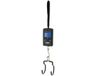 Var Balance numérique portable Max 40kg Hulpmiddel Zwart