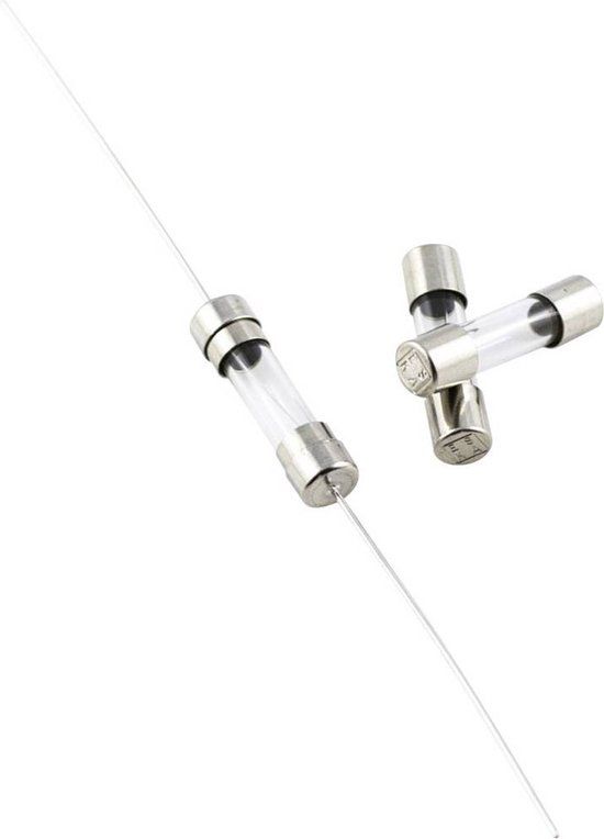 Gourmet ESKA 522407 Buiszekering (Ø x l) 5 mm x 20 mm 0.1 A 250 V Supertraag -TT- Inhoud: 10 stuk(s)