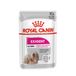 Royal Canin 48x Exigent Alimentation Chien Humide 85 g