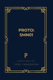 PROTO - SMN01: B2B Sales Meeting Minutes & Discovery Notebook