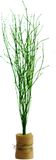 Bellatio Flowers & Plants Paastakken - 115 cm - 3 takken - berkentakken - kunst - paasversiering - pasen