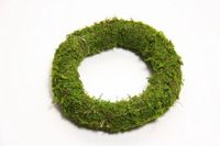 HBX natural living Krans Asia Mos Ø25cm