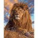 Diamond Painting Set leeuw 25 x 35 cm