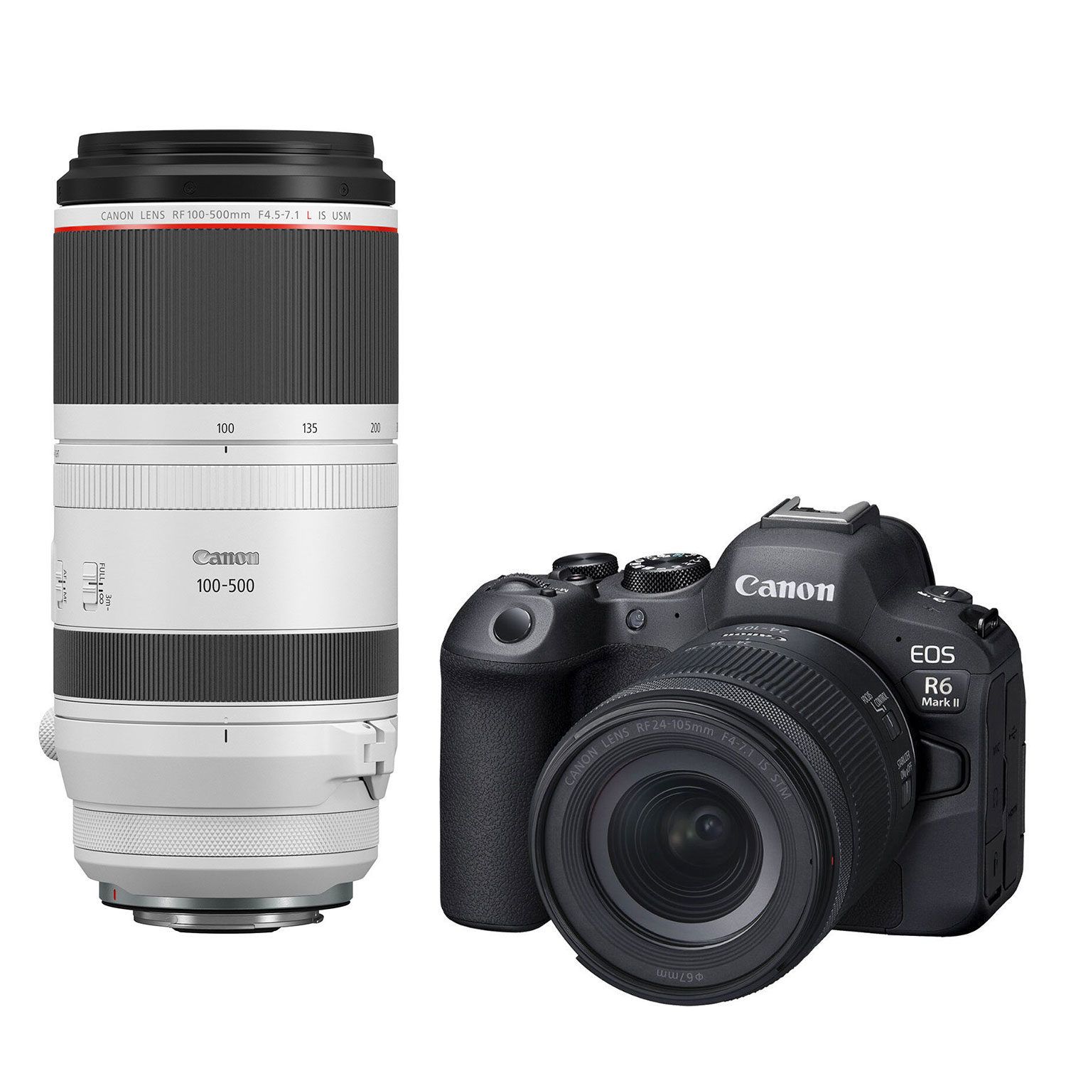 Canon EOS R6 Mark II + RF 24-105mm + RF 100-500mm Kit