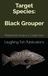 Target Species: Black Grouper: Mastering the Pursuit of a Coastal Giant