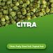 Citra Hop Pellets 1 kg