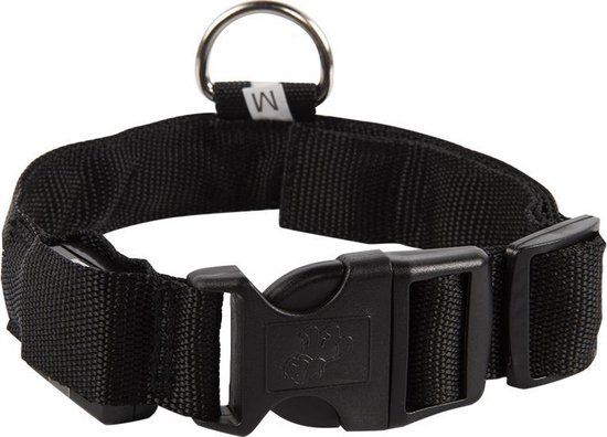 Smartphonica LED Light Band - Illuminated Dog Collar - Battery Included - Black - M