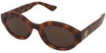 Gucci Zonnebrillen GG1579S 002 Zwart Bruin Kunststof Vrouwen