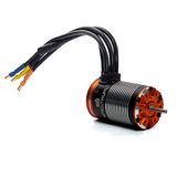 Spektrum SPMXSM3000 Motoren, meerkleurig