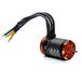 Spektrum SPMXSM3000 Motoren, meerkleurig