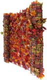 MCW Balkon privacy scherm N77 - 500x150cm - esdoorn rood-geel - Polyester
