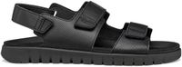 Geox Flextride S A Schoenen Zwart EU 45 Man