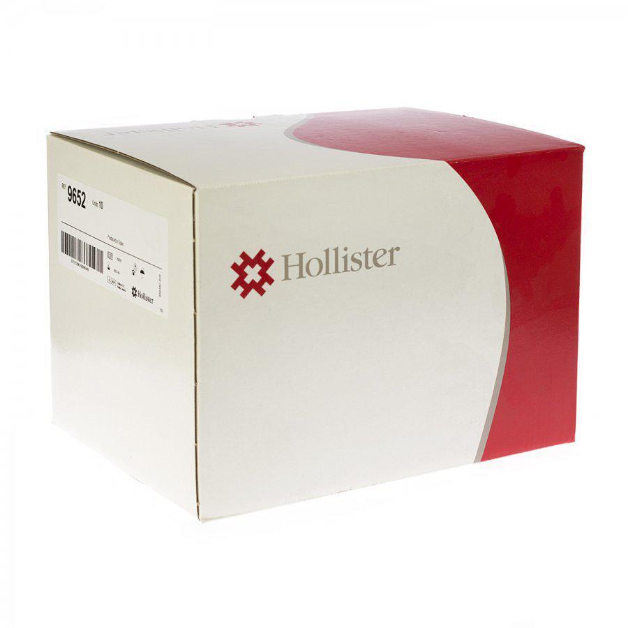 Hollister Beenzak Ledigbaar 9652 10 X 500 Ml