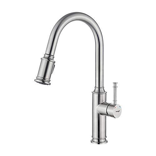 Ibergrif M22132, Kitchen tap with removable remote, sink mixer with two jets (3/8 "), polished nickel