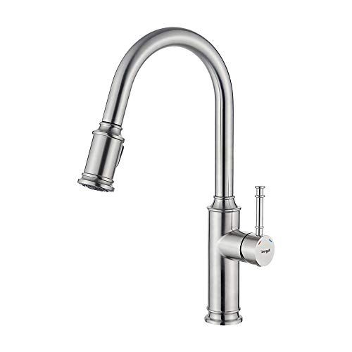 Ibergrif M22132 Kitchen Tap with Removable Remote - Polished Nickel