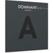 Thomastik-Infeld DOMINANT PRO A1 4/4 medium DP21 altviool snaar