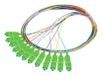 Lanberg FP-SCAP-SS21-1202-MC Câble InfiniBand et Fibre Optique 2 m 12x SC SC/APC Multicolore