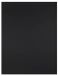 Liderpapel Cartulina karton 25 vel 180 g/m² Zwart 50x65 cm