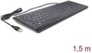 Delock USB Keyboard wired 1.5 m black with XXL letters and Illumination