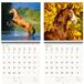 Helma365 CA03-2027 Schrijvende kalender 30 x 30 paarden