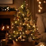 Merkloos Lichtsnoer - 600 cm - 80 led lampjes - warm wit - buiten - kerstverlichting