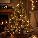 Merkloos Lichtsnoer - 600 cm - 80 led lampjes - warm wit - buiten - kerstverlichting