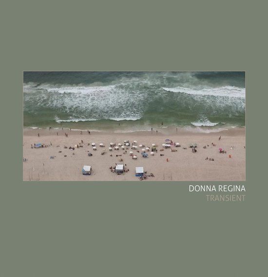 Transient Donna Regina - Transient (LP) (Limited Edition)