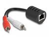 DeLOCK 87857 audio kabel 2 x RCA RJ-45 Zwart, Rood, Wit