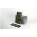 Gamers Grass Laser Plants: Bracken
