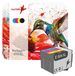 Epson Jeu de cartouches d'encre compatible avec Epson 604XL