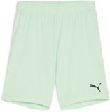 Puma Kinder Sport Shorts TeamGoal Shorts Jr 705753 Fresh Mint-Puma Black