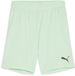 Puma Kinder Sport Shorts TeamGoal Shorts Jr 705753 Fresh Mint-Puma Black