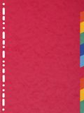 Exacompta 10x Tabbladen in glanskarton 225g - 10 tabs - A4 - Geassorteerd