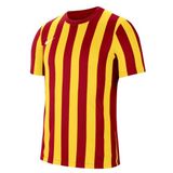 NIKE Gestreepte Shorts