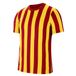 NIKE Gestreepte Shorts