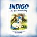 INDIGO The Blue Maned Pony: A Story About Being Wonderfully You