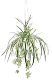 Kunstplant groene lelie met hanglicht zijden plant kantoorplant groene plant chlorophytum kamerplant spinnenplant kunstbloem slangenplant waterlelie hangplant potplant plantendecoratie
