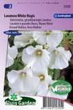 Sluis Garden Lavatera White Regis (Bekermalva)