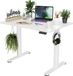 Ibenzoa® Elektrisch Verstelbaar Zit-Sta Bureau Wit - 100x60cm met Geheugen en Kabelmanagement