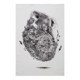 Maxwell & Williams Marini Ferlazzo Theedoek met Koala & Co, 100% Katoenen Keukendoek, Wit, 50 x 70 Centimeter