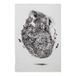 Maxwell & Williams Marini Ferlazzo Theedoek met Koala & Co, 100% Katoenen Keukendoek, Wit, 50 x 70 Centimeter