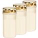 Trend Candles 3x bougies blanches pour tombe/bougies commémoratives avec couvercle 6 x 12,6 cm 2 jours - Bougie commémorative - Bougies pour tombe/bougies commémoratives